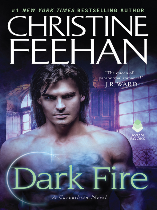 Cover image for Dark Fire